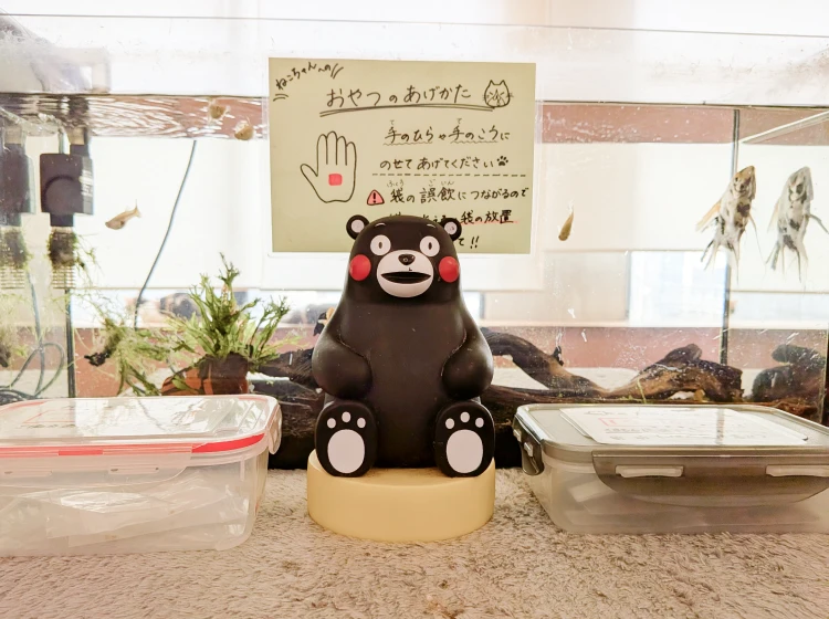 おやつのあげ方の案内