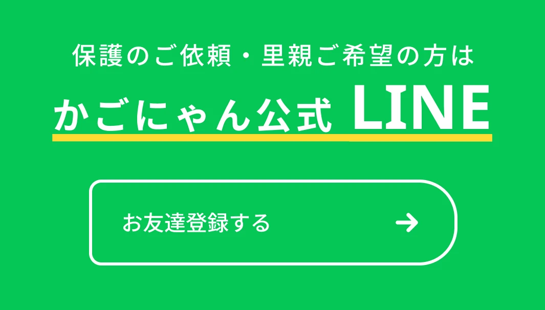 かごにゃん公式 LINE