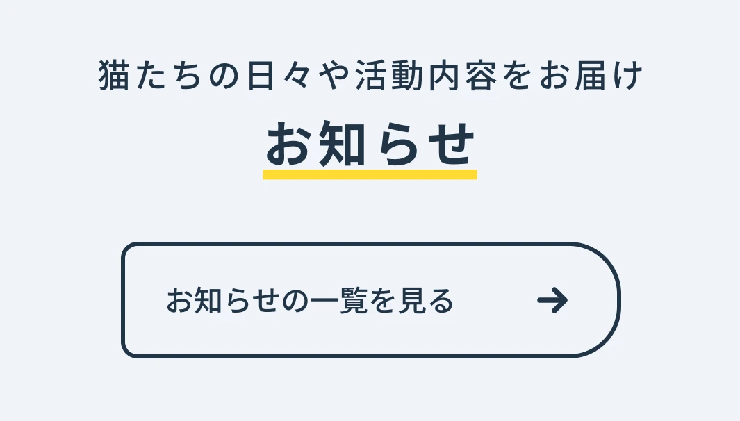 お知らせ