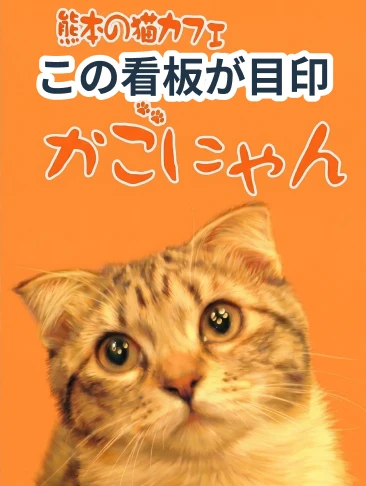 かごにゃんの店頭看板