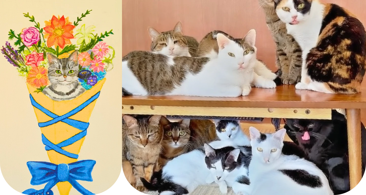 猫カフェの店内でくつろぐ猫たち