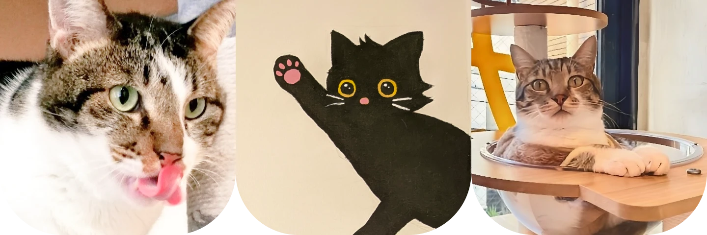 ご利用者さまの声